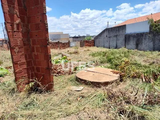 Terreno / Lote para Venda em Aparecida de Goiânia/GO Cardoso Continuação