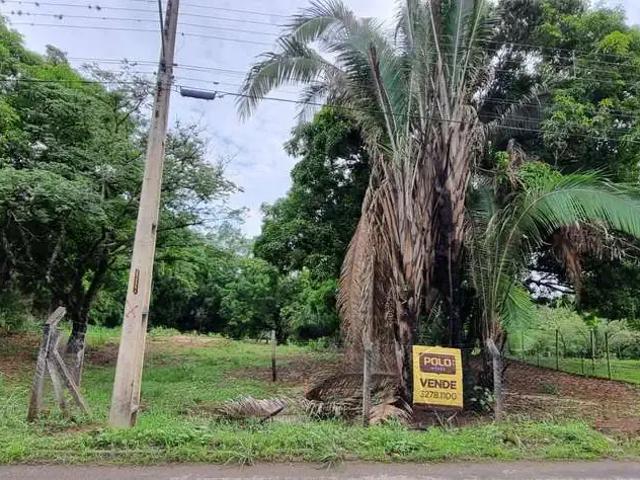 Terreno / Lote para Venda em Aparecida de Goiânia/GO Chácaras São Pedro
