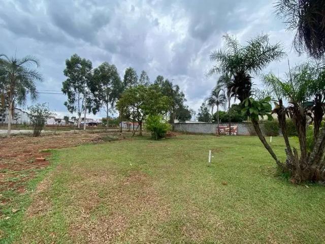 Terreno / Lote para Venda em Aparecida de Goiânia/GO Chácaras São Pedro