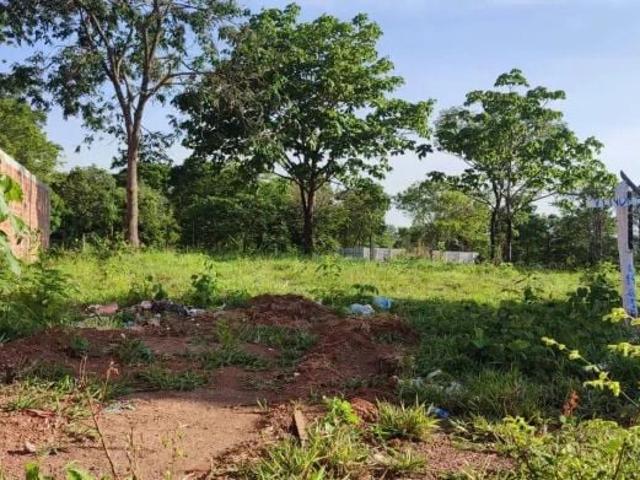 Terreno / Lote para Venda em Aparecida de Goiânia/GO Jardim Buriti Sereno