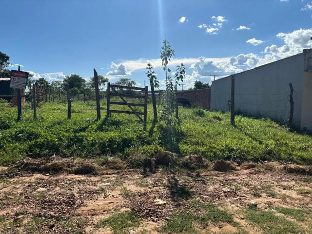Terreno / Lote para Venda em Aparecida de Goiânia/GO Jardim Ipê