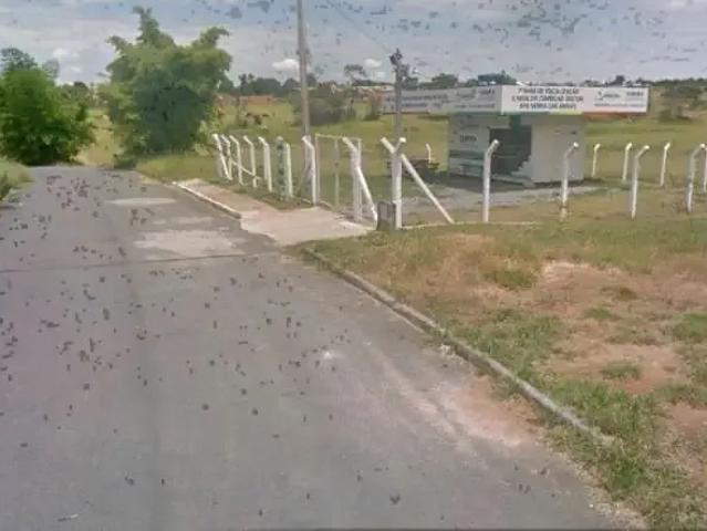Terreno / Lote para Venda em Aparecida de Goiânia/GO Jardim Riviera