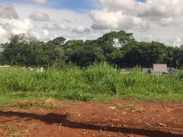 Terreno / Lote para Venda em Aparecida de Goiânia/GO Parque das Nações