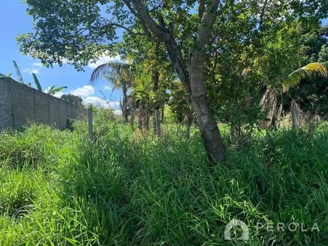 Terreno / Lote para Venda em Aparecida de Goiânia/GO Parque Hayala