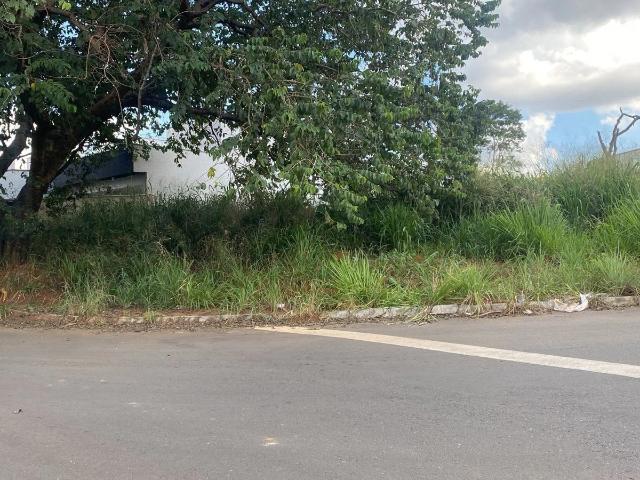 Terreno / Lote para Venda em Aparecida de Goiânia/GO Parque Ibirapuera
