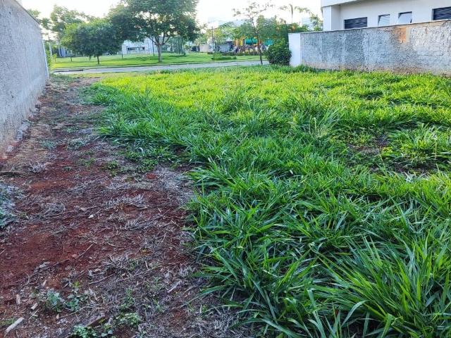 Terreno / Lote para Venda em Aparecida de Goiânia/GO Residencial Parqville Jacarandá