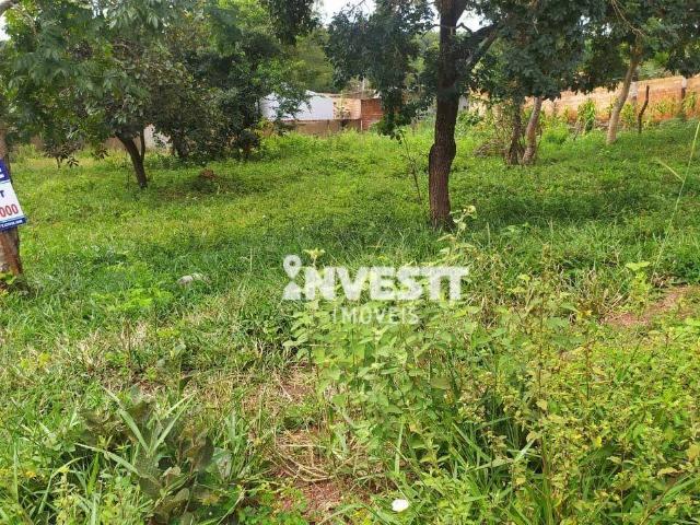 Terreno / Lote para Venda em Aparecida de Goiânia/GO Rosa dos Ventos