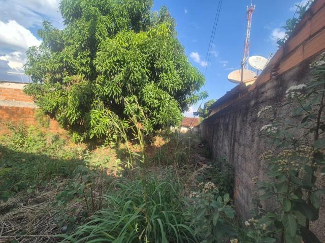 Terreno / Lote para Venda em Aparecida de Goiânia/GO Setor Garavelo