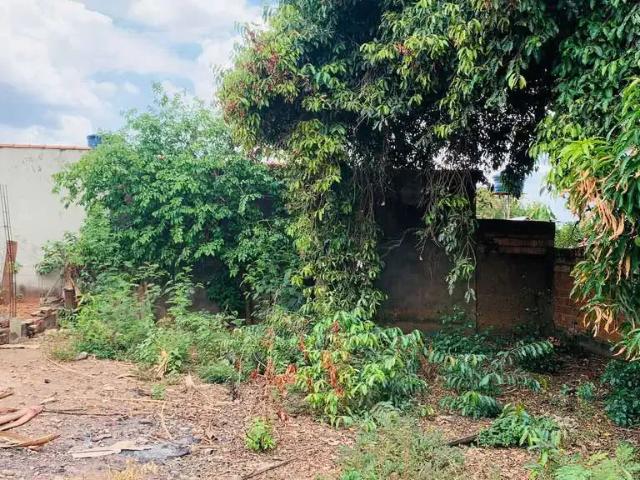 Terreno / Lote para Venda em Aparecida de Goiânia/GO Virgínia Parque