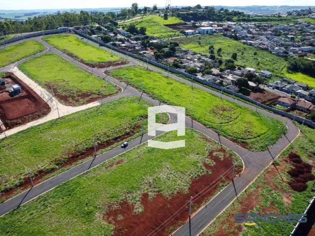 Terreno / Lote para Venda em Apucarana/PR Vila Nossa Senhora da Conceição