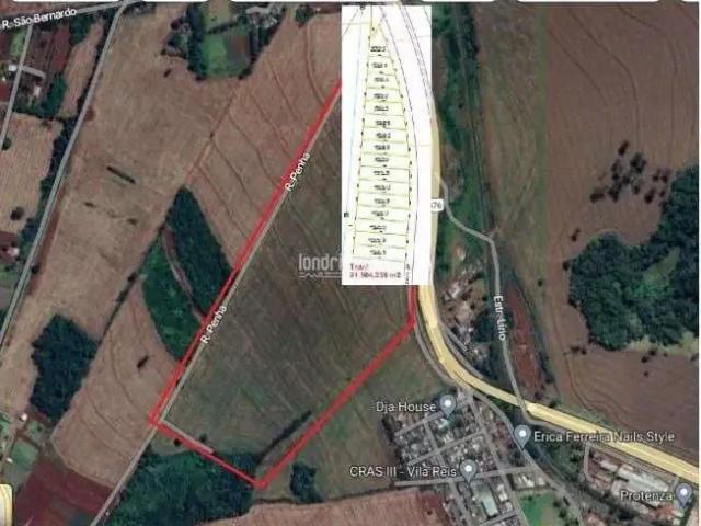 Terreno / Lote para Venda em Apucarana/PR Vila Nossa Senhora da Conceição