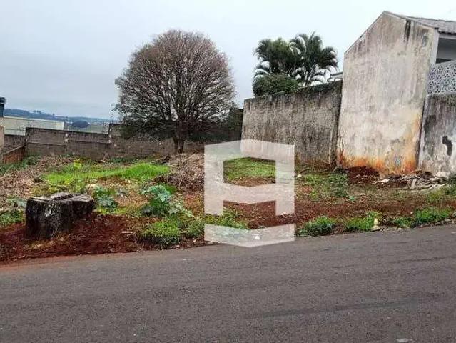 Terreno / Lote para Venda em Apucarana/PR Vila Santa Terezinha