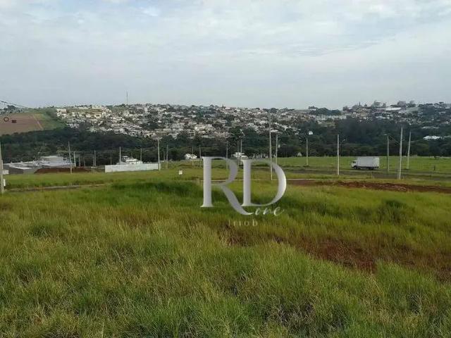 Terreno / Lote para Venda em Apucarana/PR Centro