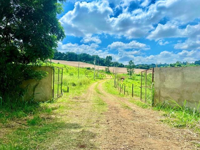 Terreno / Lote para Venda em Apucarana/PR Jardim Bela Vista