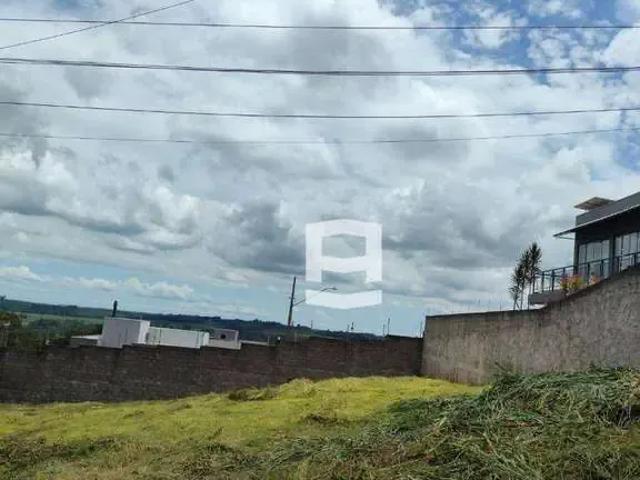 Terreno / Lote para Venda em Apucarana/PR Jardim Eldorado