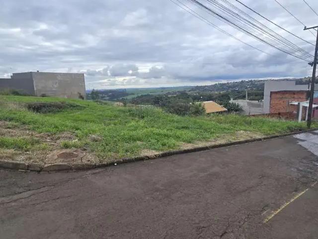 Terreno / Lote para Venda em Apucarana/PR Jardim Licce