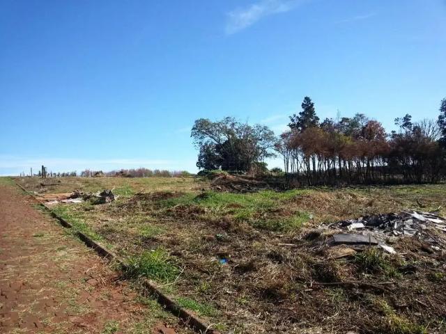 Terreno / Lote para Venda em Apucarana/PR Jardim Recanto dos Palmares
