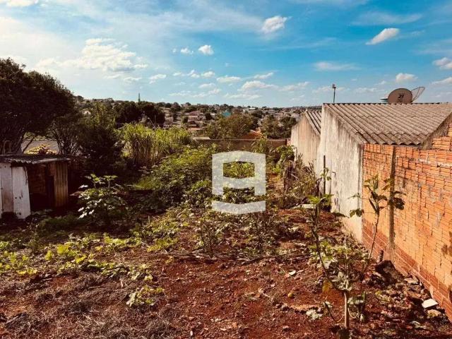 Terreno / Lote para Venda em Apucarana/PR Jardim Trabalhista