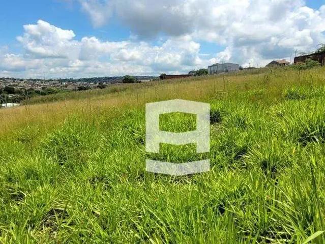 Terreno / Lote para Venda em Apucarana/PR Loteamento Monte Belo