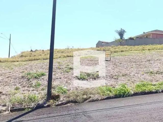 Terreno / Lote para Venda em Apucarana/PR Loteamento Residencial Cazarin