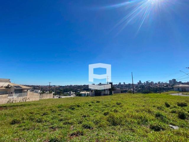 Terreno / Lote para Venda em Apucarana/PR Loteamento Residencial Cazarin