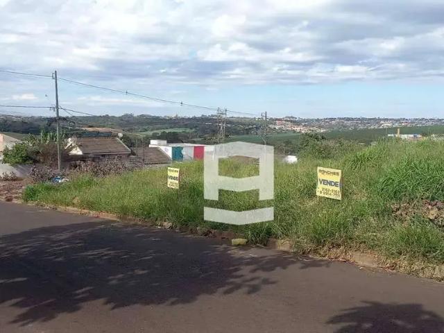 Terreno / Lote para Venda em Apucarana/PR Loteamento Residencial Três Reis
