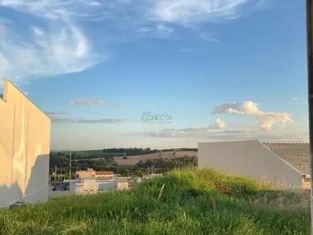 Terreno / Lote para Venda em Apucarana/PR Loteamento Residencial Veneza