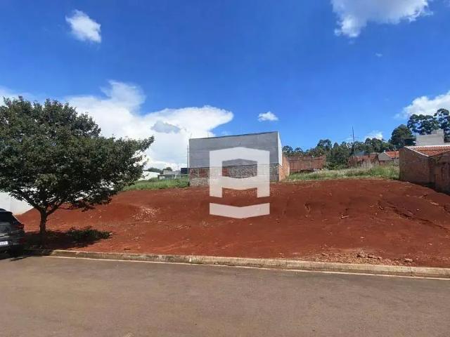 Terreno / Lote para Venda em Apucarana/PR Loteamento Santa Maria