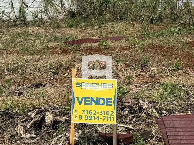 Terreno / Lote para Venda em Apucarana/PR Loteamento Santa Maria