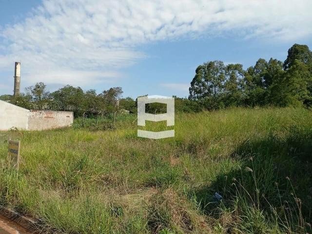 Terreno / Lote para Venda em Apucarana/PR Loteamento Santa Maria
