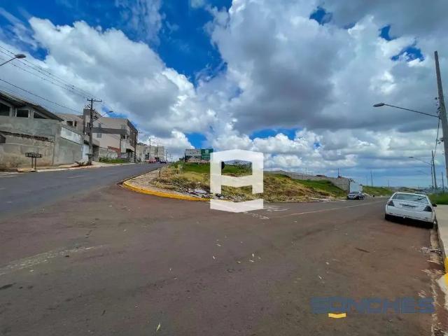 Terreno / Lote para Venda em Apucarana/PR Parque Bela Vista