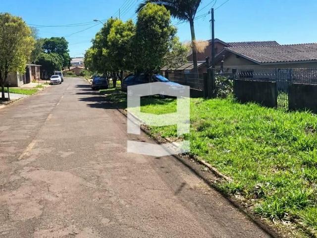 Terreno / Lote para Venda em Apucarana/PR Parque Bela Vista