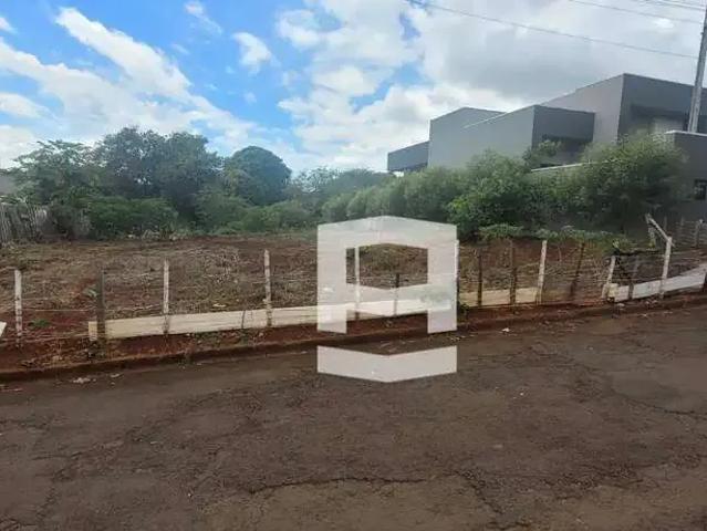 Terreno / Lote para Venda em Apucarana/PR Pirapó