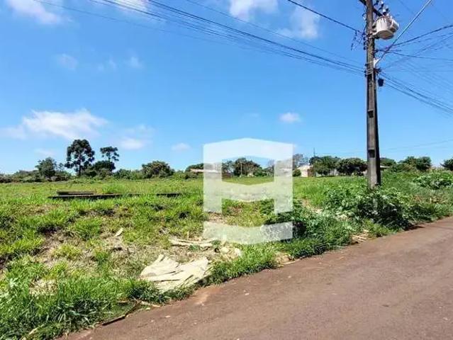 Terreno / Lote para Venda em Apucarana/PR Recanto Mundo Novo