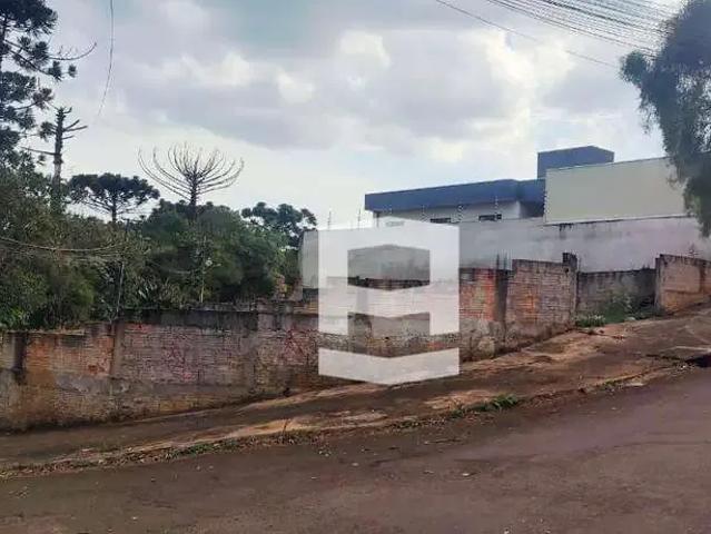 Terreno / Lote para Venda em Apucarana/PR Residencial Araucária