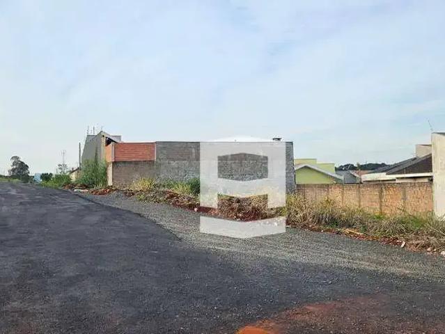 Terreno / Lote para Venda em Apucarana/PR Residencial Araucária