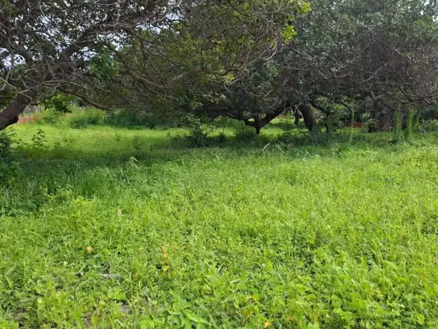 Terreno / Lote para Venda em Aquiraz/CE Camará
