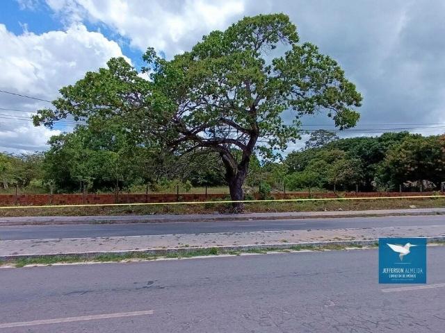 Terreno / Lote para Venda em Aquiraz/CE Camará