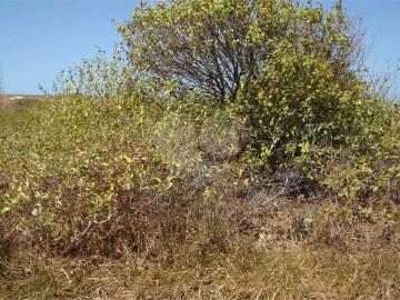 Terreno / Lote para Venda em Aquiraz/CE Porto das Dunas