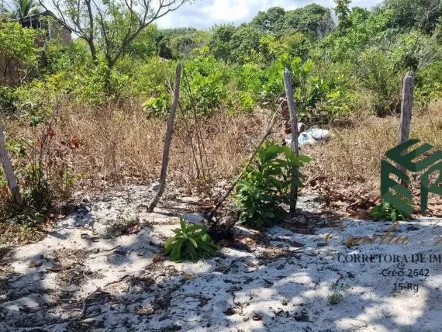 Terreno / Lote para Venda em Aquiraz/CE Patacas