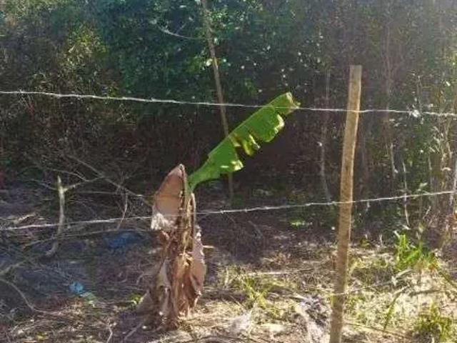 Terreno / Lote para Venda em Armação dos Búzios/RJ Marina
