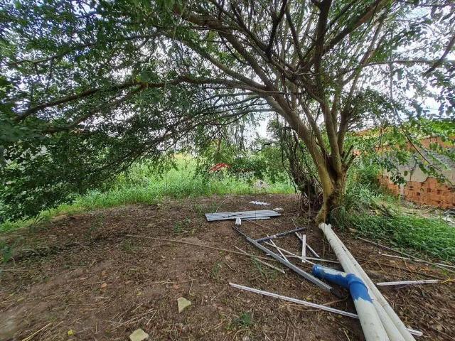 Terreno / Lote para Venda em Armação dos Búzios/RJ Bosque de Geribá