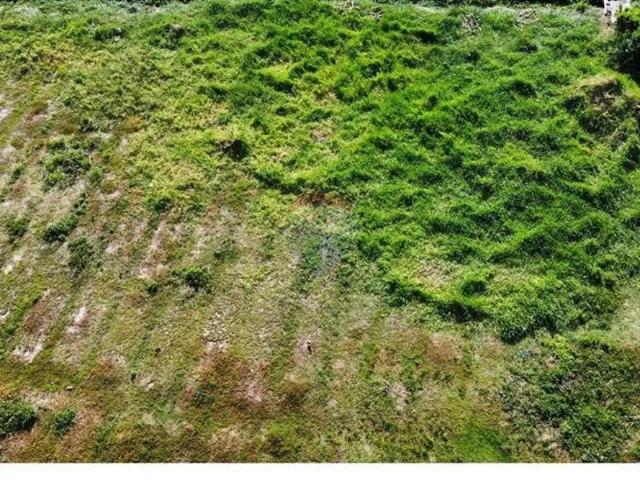 Terreno / Lote para Venda em Armação dos Búzios/RJ José Gonçalves