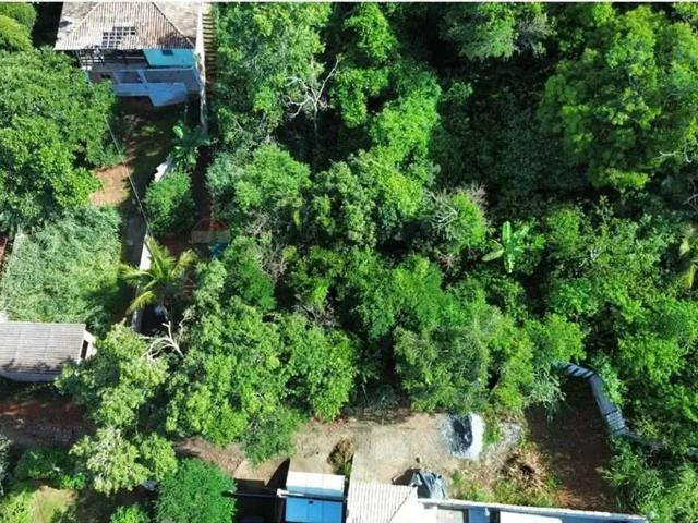 Terreno / Lote para Venda em Armação dos Búzios/RJ José Gonçalves