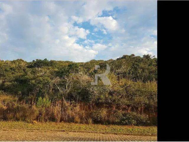 Terreno / Lote para Venda em Armação dos Búzios/RJ Praia Do Forno