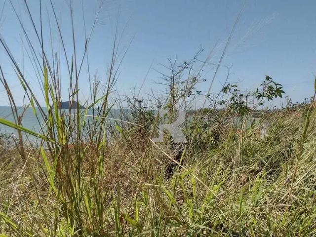 Terreno / Lote para Venda em Armação dos Búzios/RJ Rasa