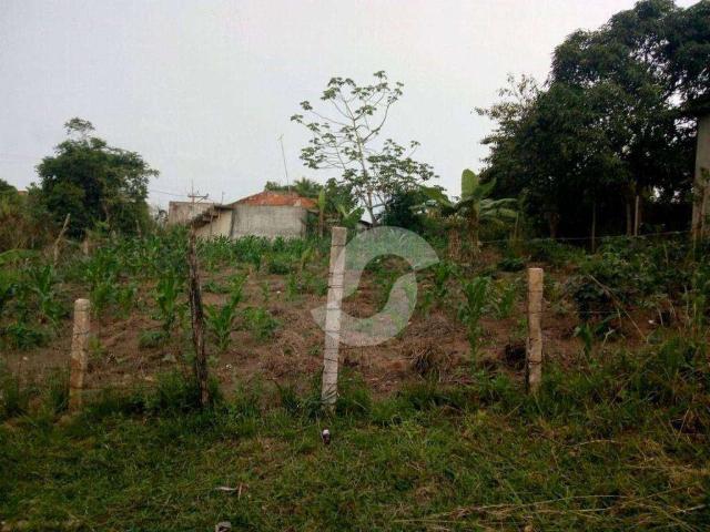 Terreno / Lote para Venda em Armação dos Búzios/RJ Praia Rasa