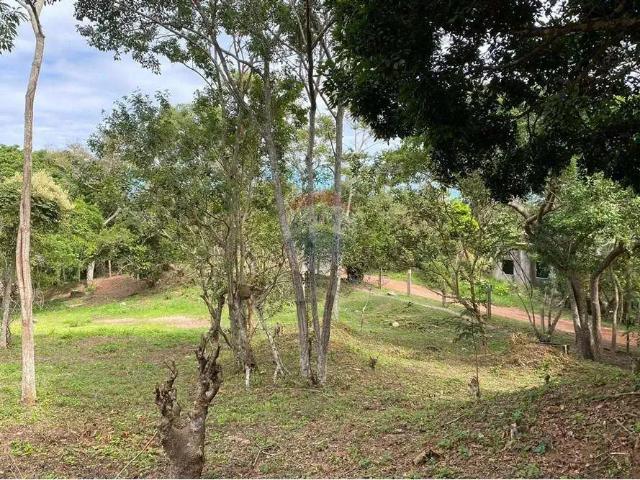 Terreno / Lote para Venda em Armação dos Búzios/RJ Rasa