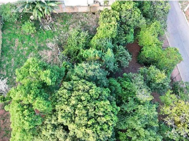 Terreno / Lote para Venda em Armação dos Búzios/RJ Rasa