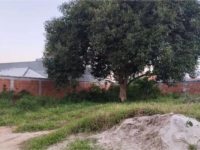 Terreno / Lote para Venda em Armação dos Búzios/RJ Vila Verde